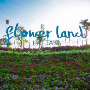 Flower land